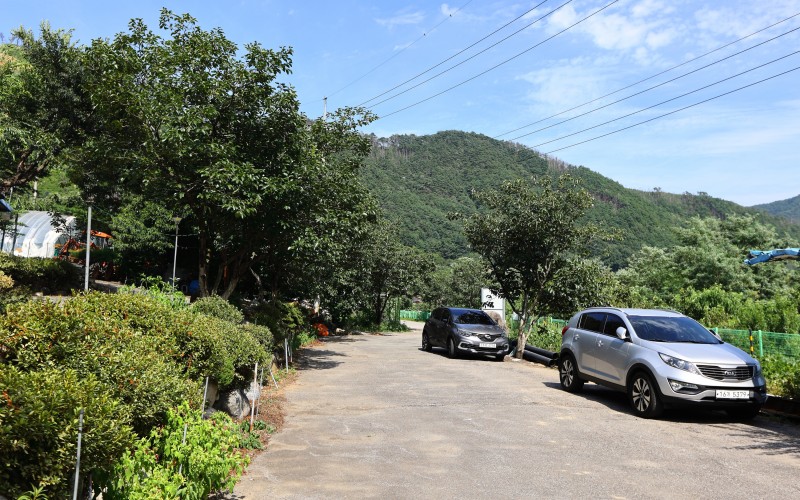 전경